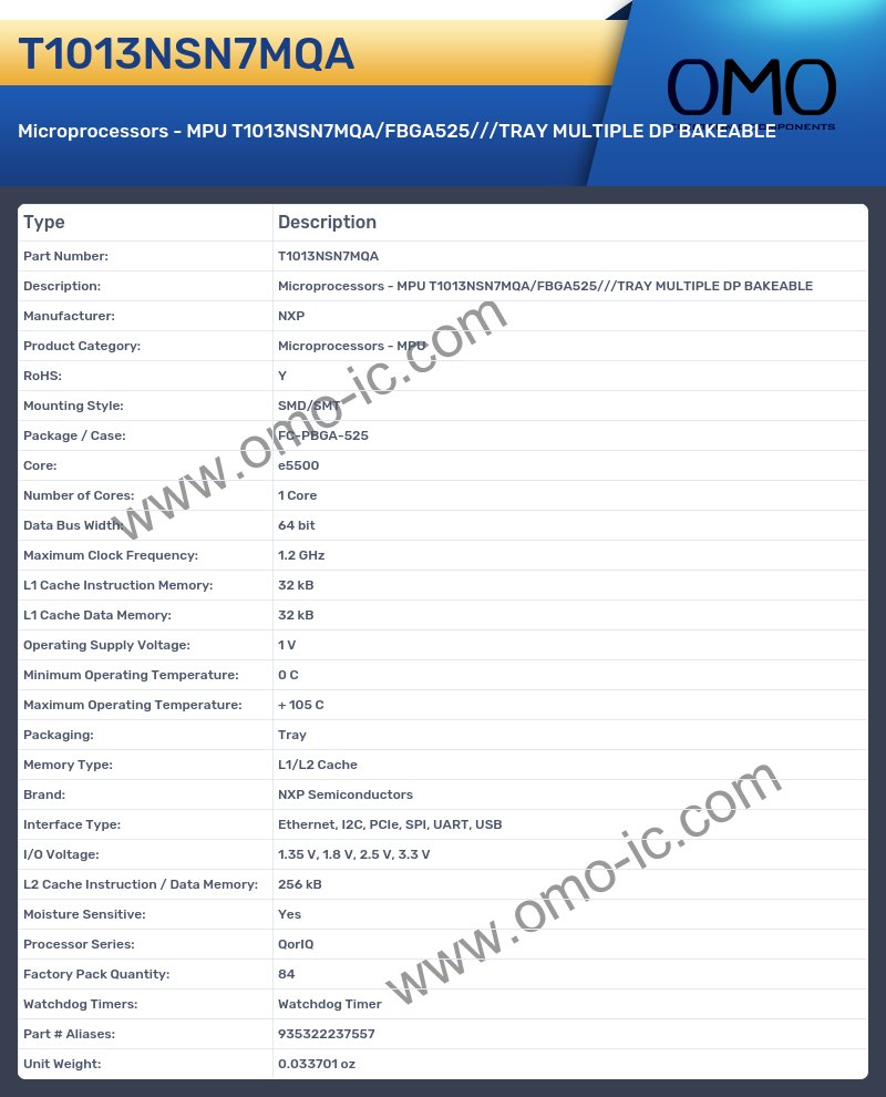 T1013NSN7MQA