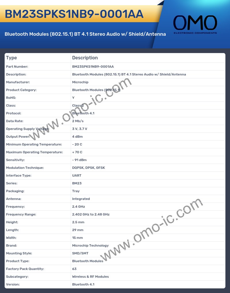 BM23SPKS1NB9-0001AA