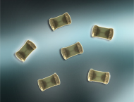 Low Current 0402 LGA Fuses