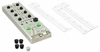 LioN-P Distributed Control Unit
