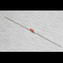 PTC Thermistors